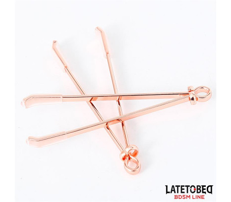 Pinzas para Pezones Color Oro Rosa