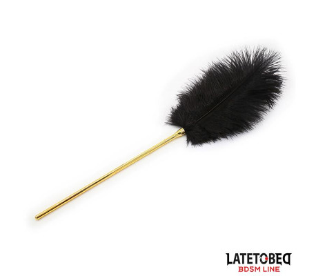 Estimulador de Plumas 41 cm