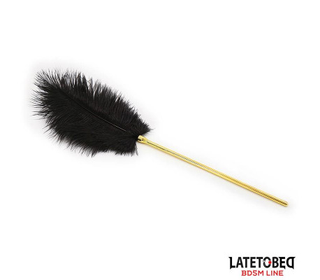 Estimulador de Plumas 41 cm