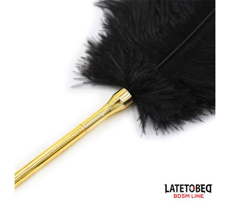 Estimulador de Plumas 41 cm