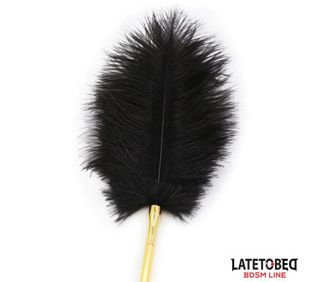 Estimulador de Plumas 41 cm
