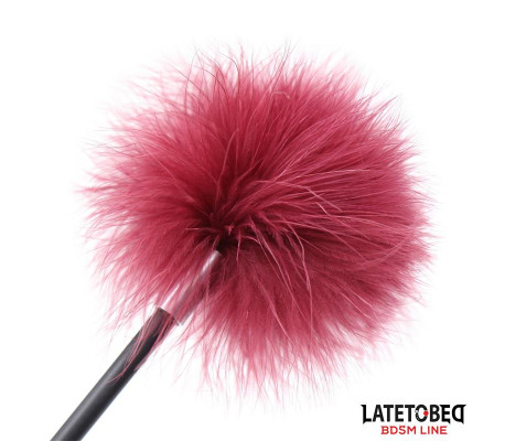 Estimulador de Plumas con Pala