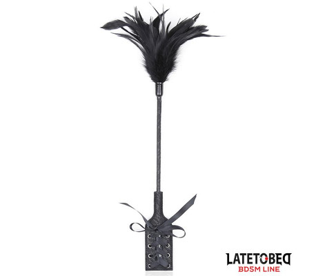 Multi Feathers Tickler and Lace Ribbon Paddle Comb