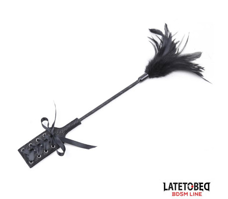 Multi Feathers Tickler and Lace Ribbon Paddle Comb