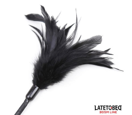Multi Feathers Tickler and Lace Ribbon Paddle Comb