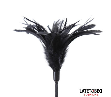 Multi Feathers Tickler and Lace Ribbon Paddle Comb
