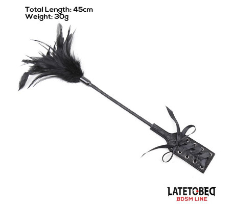 Multi Feathers Tickler and Lace Ribbon Paddle Comb