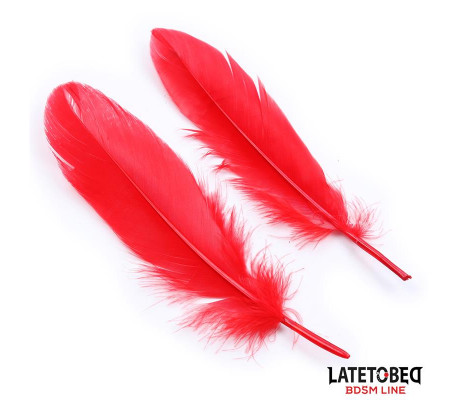 Set de 3 Piezas Antifaz, Plumas y Esposas