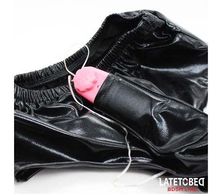 Braguitas con Dildo con Vibración Talla Única
