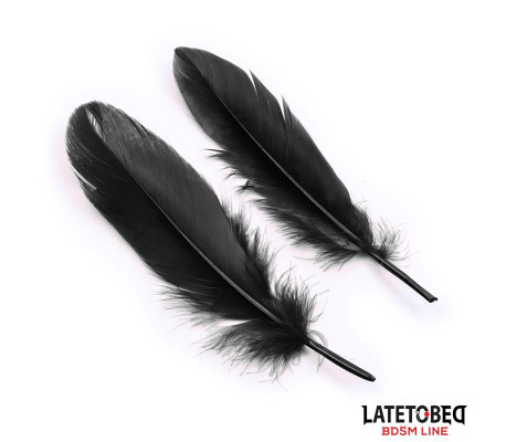 Set de 3 Piezas Antifaz, Esposas y Plumas Negro