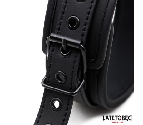Set Collar y Correa Neopreno Negro