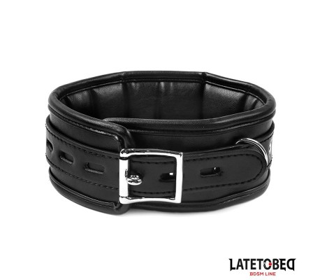 Collar con Correa Acolchado