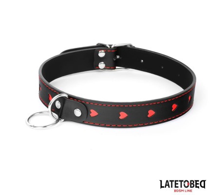 Collar con Correa 52 cm