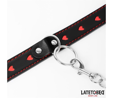 Collar con Correa 52 cm