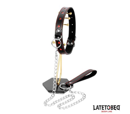 Collar con Correa 52 cm