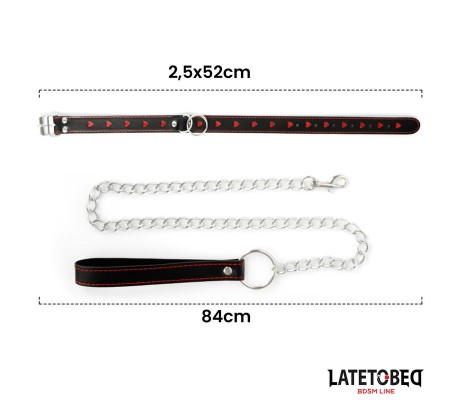 Collar con Correa 52 cm