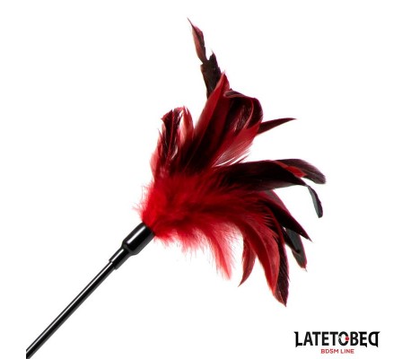 Pala con Plumas 2 en 1
