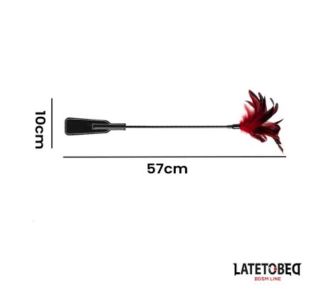 Pala con Plumas 2 en 1
