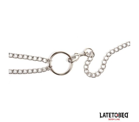 Pinzas para Pezones con Anillo para el Pene