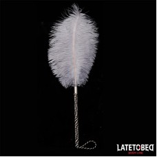Pluma Estimuladora 44 cm