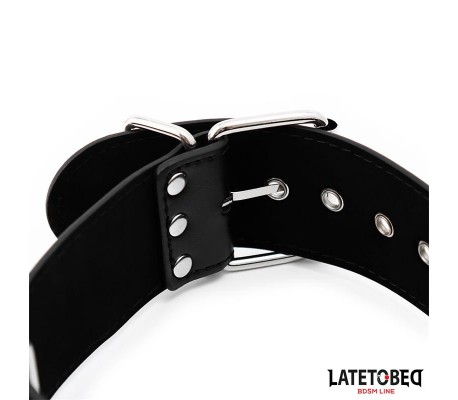 Collar y Esposas Ajustables