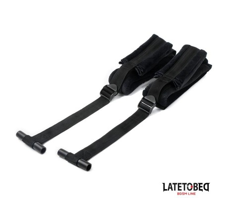 Restricciones para la Puerta