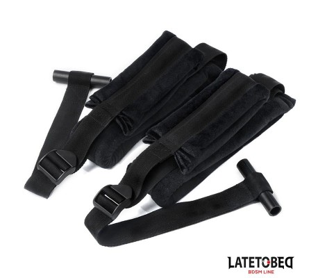 Restricciones para la Puerta