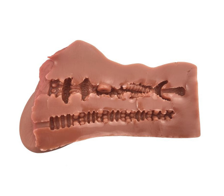Anne Vagina y Ano Súper Realista 695 gr