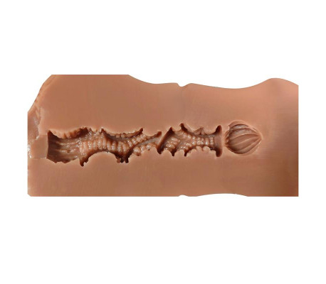 Elsa Vagina Súper Realista 630 gr