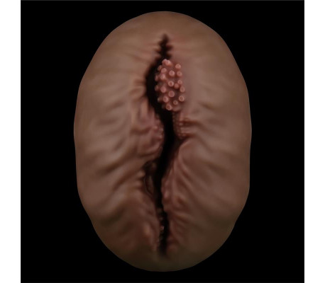 Masturbador Aliens Pie 1