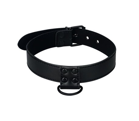 Collar con Correa Negro Mate
