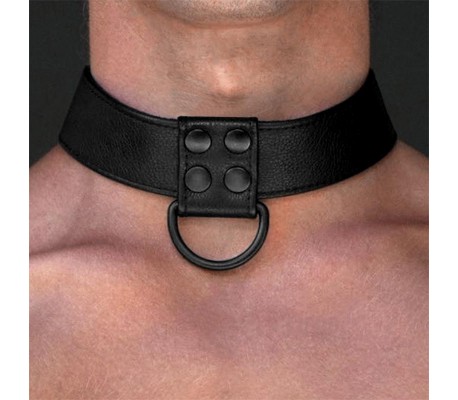 Collar con Correa Negro Mate