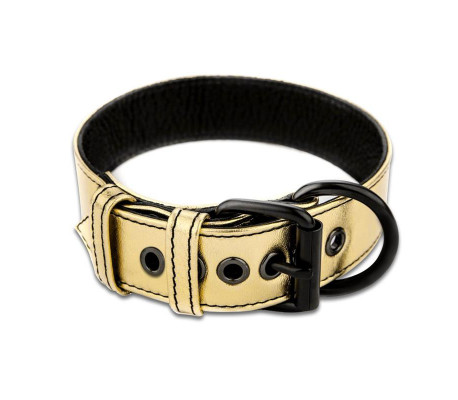 Collar con Correa Bondage Dorado