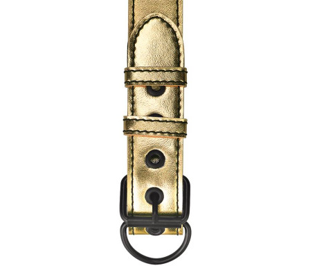 Collar con Correa Bondage Dorado