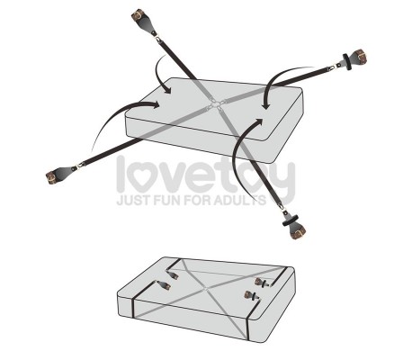 Restricciones para la Cama Rebellion Reign