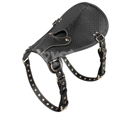 Rebellion Reign Dildo Saddle Silla de Montar