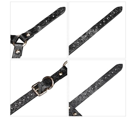 Máscara Cachorro Rebellion Reign Classic