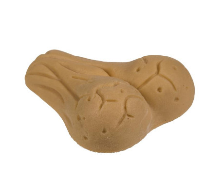 Growing Testicle 4x3 cm