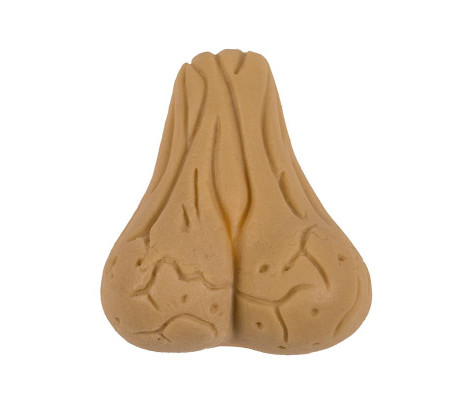 Growing Testicle 4x3 cm