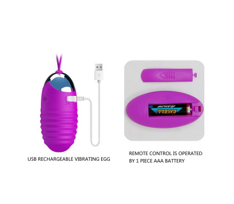 Huevo Vibrador Jessica USB Purpura