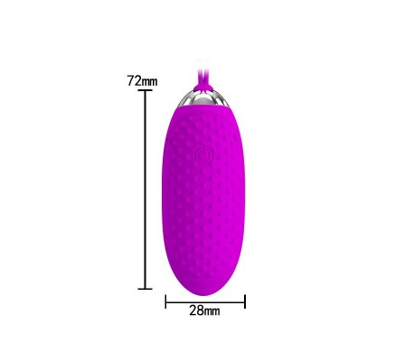 Huevo Vibrador Joanna USB Purpura
