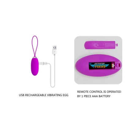 Huevo Vibrador Joanna USB Purpura