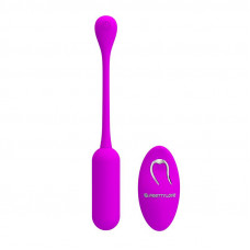 Lechies Huevo Vibrador con Control Remoto USB