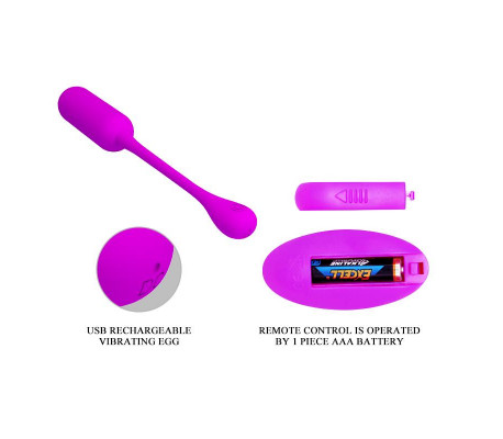 Lechies Huevo Vibrador con Control Remoto USB