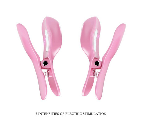 Surprise Box Huevo Vibrador y Pinzas para Pezones con Electro Estimulación Rosa