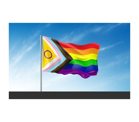 Bandera Intersexsual 90x150cm