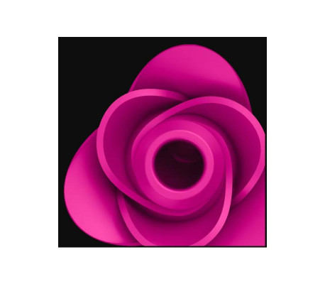 Pro 2 Modern Blossom Succionador