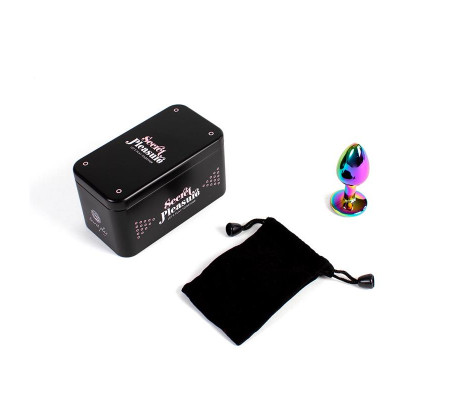 Plug Anal de Metal Rainbow Talla S