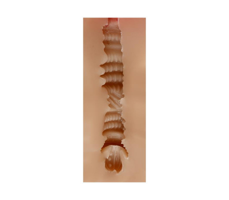 Masturbador Masculino Vagina Judith Skin